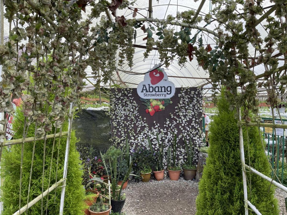 Aiza Homestay Opposite Abang Strawberry Taman Sedia Tanah Rata Exterior foto